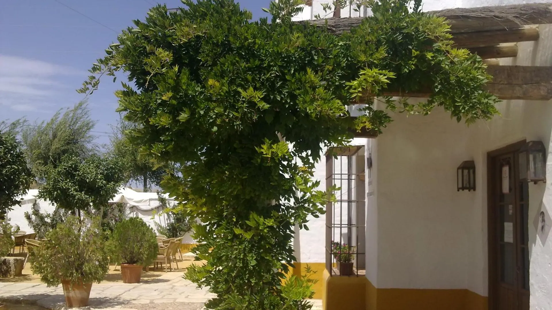 Hotel Posada De Jose Mª El Tempranillo Alameda